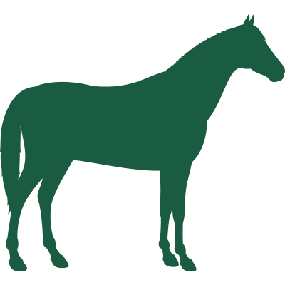 green horse icon