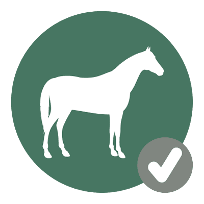 green horse icon with check