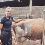 Farm Animal Medicine and Surgery