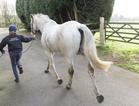Hook Norton Veterinary Group vet or practice photo