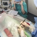 Hook Norton Veterinary Group vet or practice photo