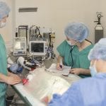 Hook Norton Veterinary Group vet or practice photo