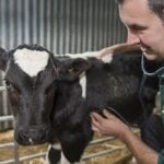 Hook Norton Veterinary Group vet or practice photo