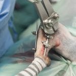 Orthopaedic