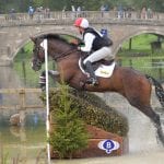 horse rider on horse doing jump