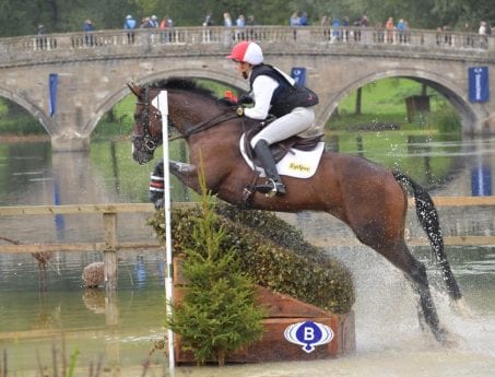 horse rider on horse doing jump