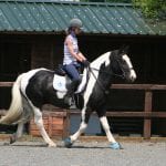 Hook Norton Veterinary Group practice or event photo