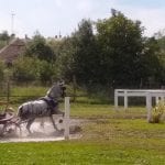 kisber water obstacle at Hook Norton Veterinary Group