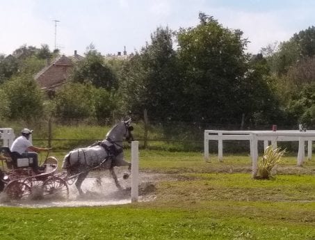 kisber water obstacle at Hook Norton Veterinary Group