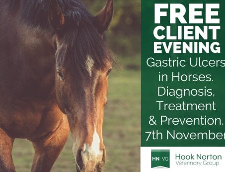 My Post-3 at Hook Norton Veterinary Group