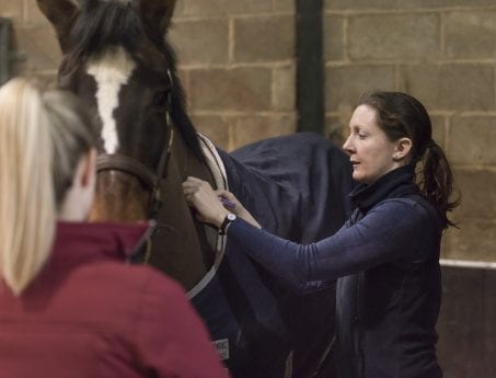 Hook Norton Veterinary Group vet or practice photo