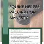 Screenshot of content from Hook Norton Veterinary Group