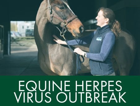 My Post at Hook Norton Veterinary Group