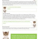 0006 at Hook Norton Veterinary Group