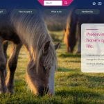 CAC Homepage at Hook Norton Veterinary Group