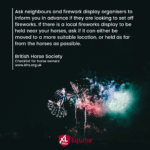 Hook Norton Veterinary Group promotional or service graphic