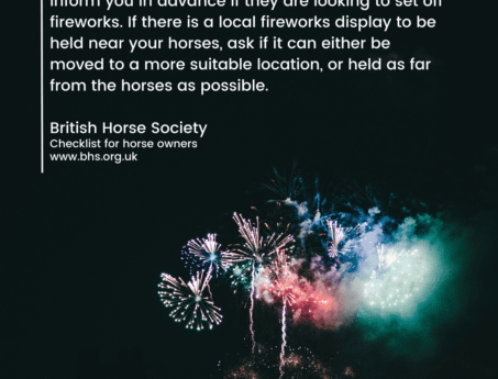 Hook Norton Veterinary Group promotional or service graphic
