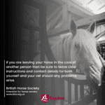 Hook Norton Veterinary Group promotional or service graphic