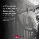 Hook Norton Veterinary Group promotional or service graphic