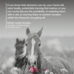 Hook Norton Veterinary Group promotional or service graphic