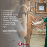 Hook Norton Veterinary Group promotional or service graphic
