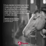 Hook Norton Veterinary Group promotional or service graphic