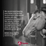 Hook Norton Veterinary Group promotional or service graphic