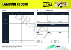 MSD lamb recording chart for keeping lambing records