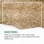 Hook Norton Veterinary Group promotional or service graphic
