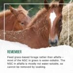 Hook Norton Veterinary Group promotional or service graphic