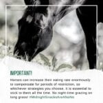 Hook Norton Veterinary Group promotional or service graphic
