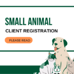 SA Client registrations at Hook Norton Veterinary Group
