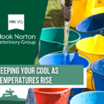 cooling your horse