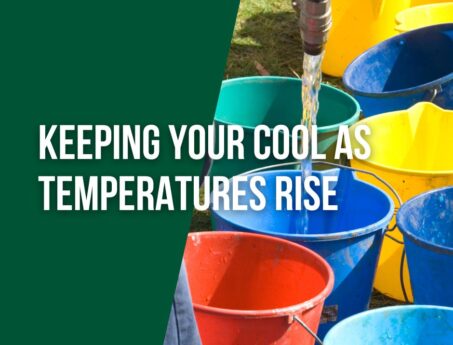 cooling your horse (Instagram Post) (Facebook Post) at Hook Norton Veterinary Group