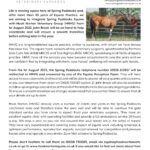 Hook Norton equine vets