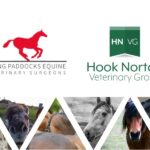 spring paddocks equine John brook