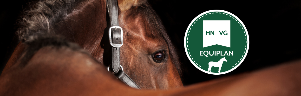Equiplan equine health plan graphic for Hook Norton Veterinary Group
