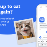PetsApp cat care promotional graphic for Hook Norton Vets online vet service