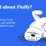 PetsApp Worried About Fluffy promotional graphic for Hook Norton Vets online consultation service