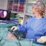 Vet in surgical scrubs and cap performing keyhole laparoscopic surgery while watching the screen