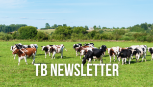 TB bovine tuberculosis newsletter issue from Hook Norton Veterinary Group