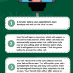 video consultation telehealth telemedicine vet telemedicine