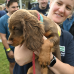 Screenshot of online content or social media post from Hook Norton Vets
