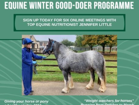 Equine Winter Good-do-er Program
