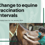 Equine Vaccination Intervals