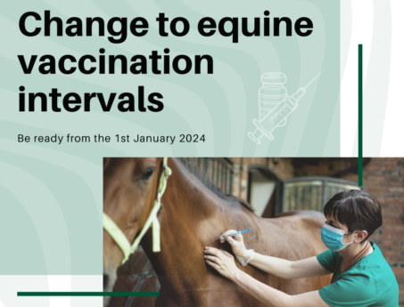 Equine Vaccination Intervals