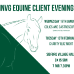 Winter talks equine event promotional graphic for Hook Norton Vets equine team