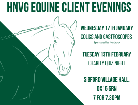 Winter talks equine event promotional graphic for Hook Norton Vets equine team