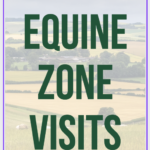 Equine Zone Visits