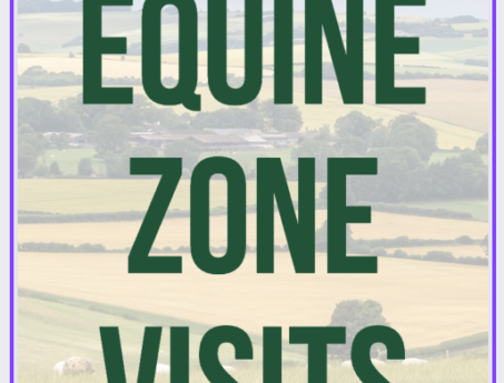 Equine Zone Visits